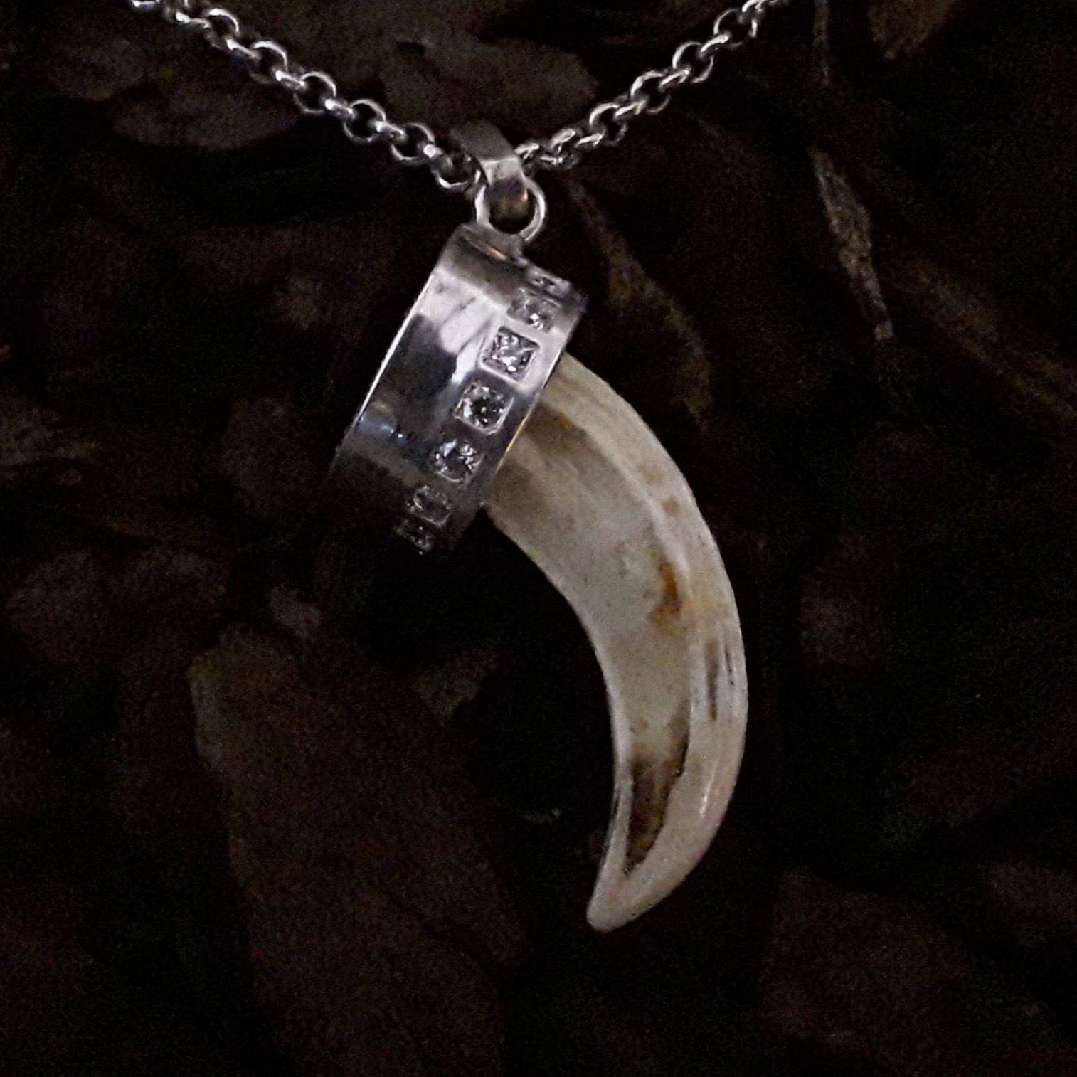 Plating Stonesetting Tooth, OJFB